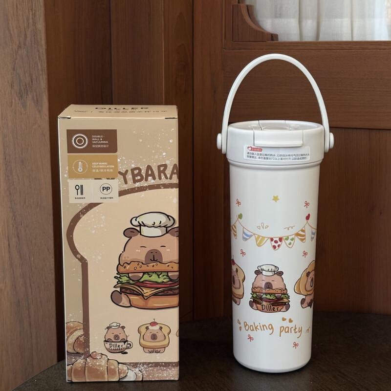 Dilber Portable Insulated Straw Water Bottle