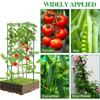 Plant Climbing Trellis for Tomatoes, Cucumbers, Beans - Durable Green Garden Support, Easy Assembly