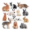 TOYMANY 12PCS Rabbit Figure Animal Figure Rabbit Model Realistic Animal Model Popular Animal Toy Birthday Gift Christmas New Year Decoration