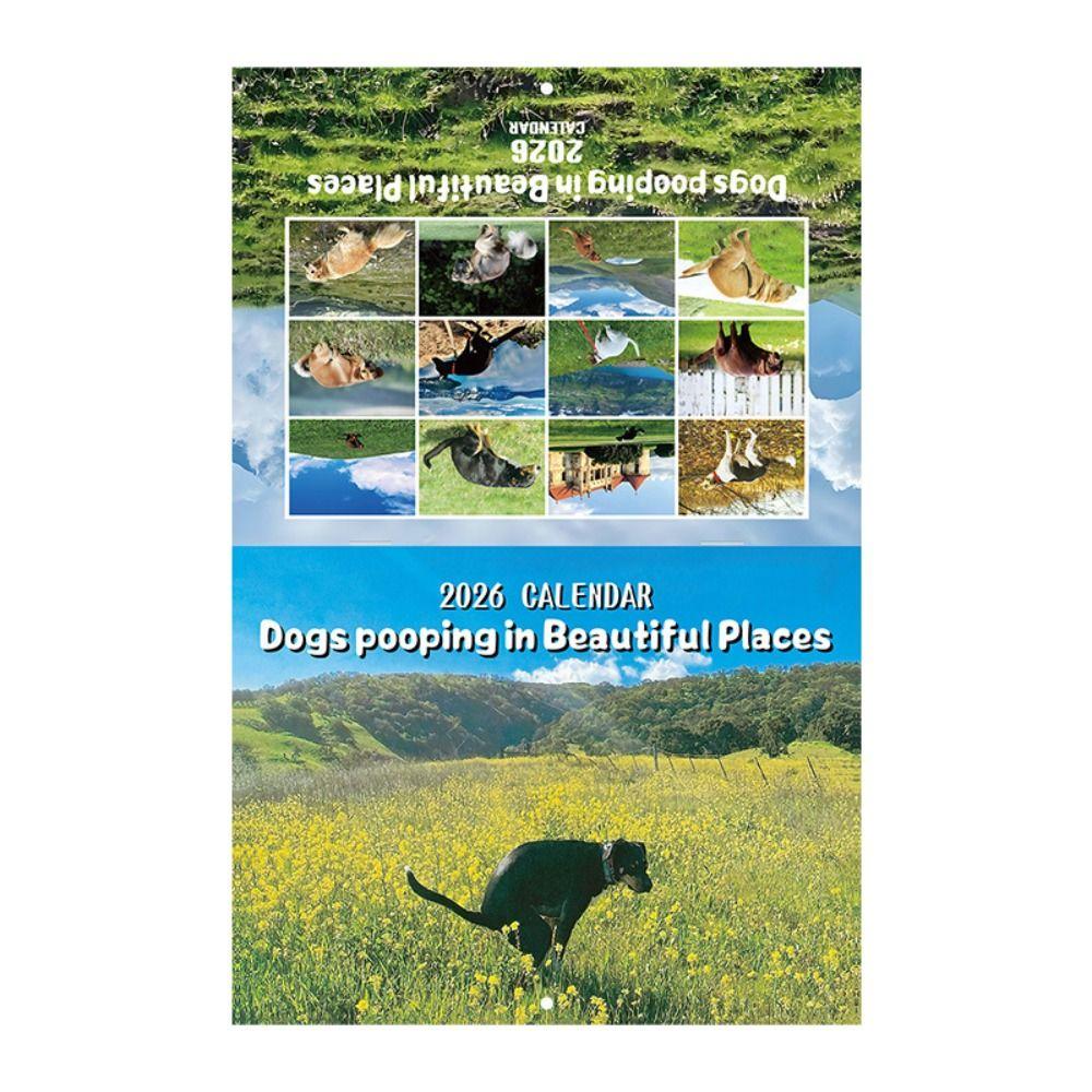 2026 Funny Cat Calendar Gag Gift Family Planner NEW Cat Butt Calendar  Office