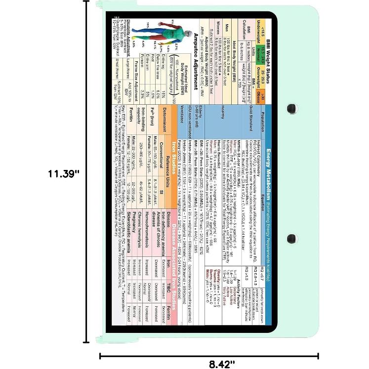 Whitecoat Clipboard® - Mint Dietitian Edition