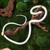 White rubber snake realistic fake snake educational snake Halloween prank props Halloween party decoration