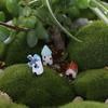 2/4Pcs Resin Horse Turtle Windmill Miniature Dollhouse Ornament Garden Decor