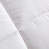 Luolai Warm Ginger Antibacterial Heating Winter Quilt
