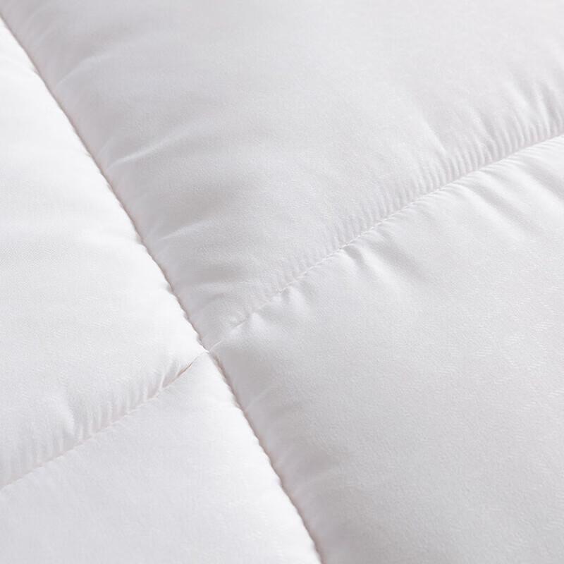 Luolai Warm Ginger Antibacterial Heating Winter Quilt