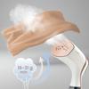 Clothes Steamer , Steam Iron Berdsen