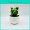 Simulated Cactus Artificial Green Plants Desktop Potted Indoor Decoration
