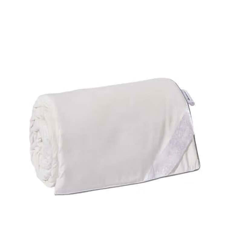 Burrenshou Wild Tussah Silk Quilt BRS-819