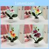 Artificial Phalaenopsis Plastic Flower Bonsai For Event Decoration Home Styling