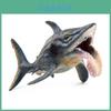 Modello di Dinosauro Marino Helicoprion Per Bambini Giocattolo Realistico in PVC Educativo