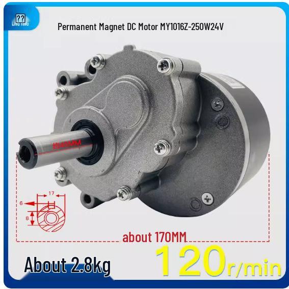 

24V 250W DC Brushed Low-Speed Electric Wheelchair Motor with Two-Stage Reduction, 120/75 RPM