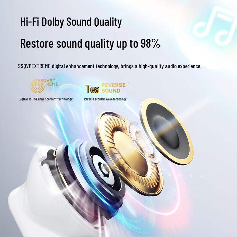 SANAG T80S Pro ANC True Wireless Bluetooth Earbuds