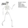 Poseable Halloween Prop 3ft Life Size Skeleton, Full Body Posable Plastic Skeleton Prop, Realistic with Movable Jaw Human Bones Model for Yard