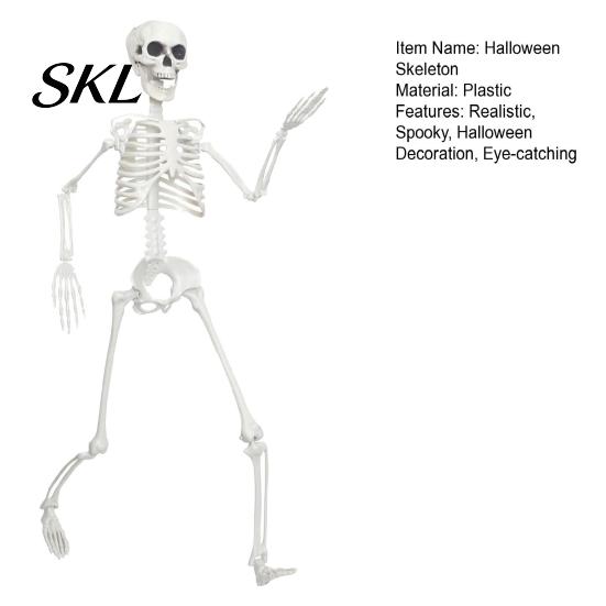 Poseable Halloween Prop 3ft Life Size Skeleton, Full Body Posable Plastic Skeleton Prop, Realistic with Movable Jaw Human Bones Model for Yard