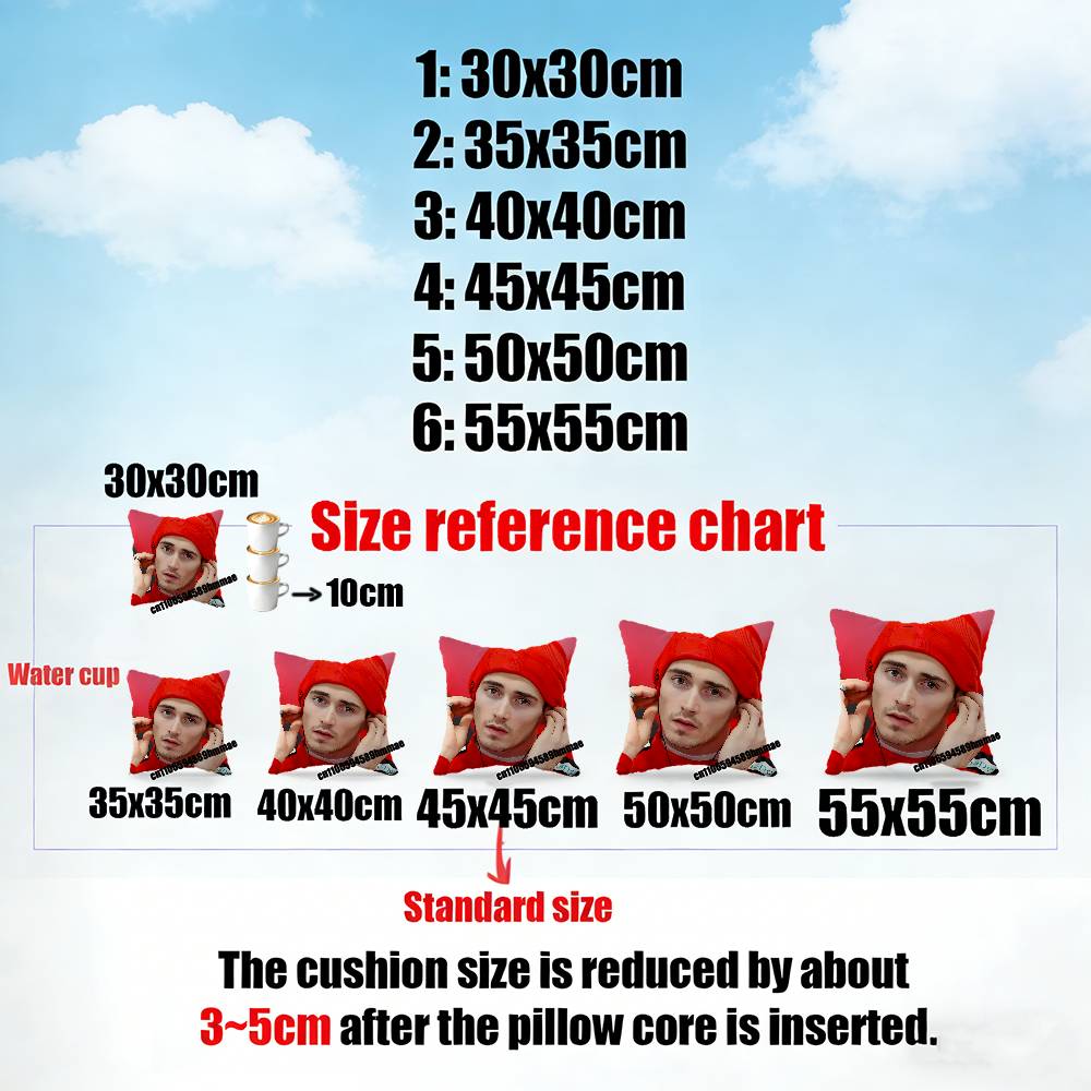 For CCharles Leclerc Throw Pillow Case Sham xcm xcm Square Car Pillowcase Pad Cushion Cover
