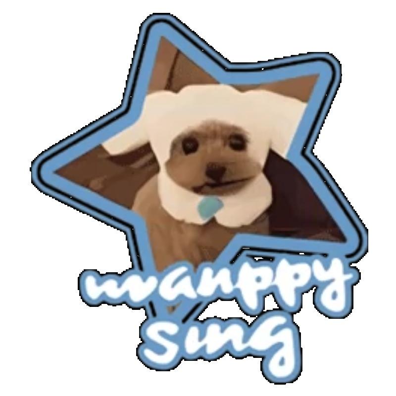 Oversized T-Shirt Black Dog Star Print Wanppy Sing Graphic Tee Casual Streetwear Fashion Women Summer Top