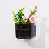Creative Wall-mounted Plastic Vase Clear Hydroponic Flower Pot Wall Hanging Fish Tank  Desktop