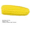 Yousheng Corn-shaped Dog Chew Toy Interactive Squeaky Corn Stick Teeth Cleaning Toy Funny Pet Sound Toy for Small Medium Large Breed