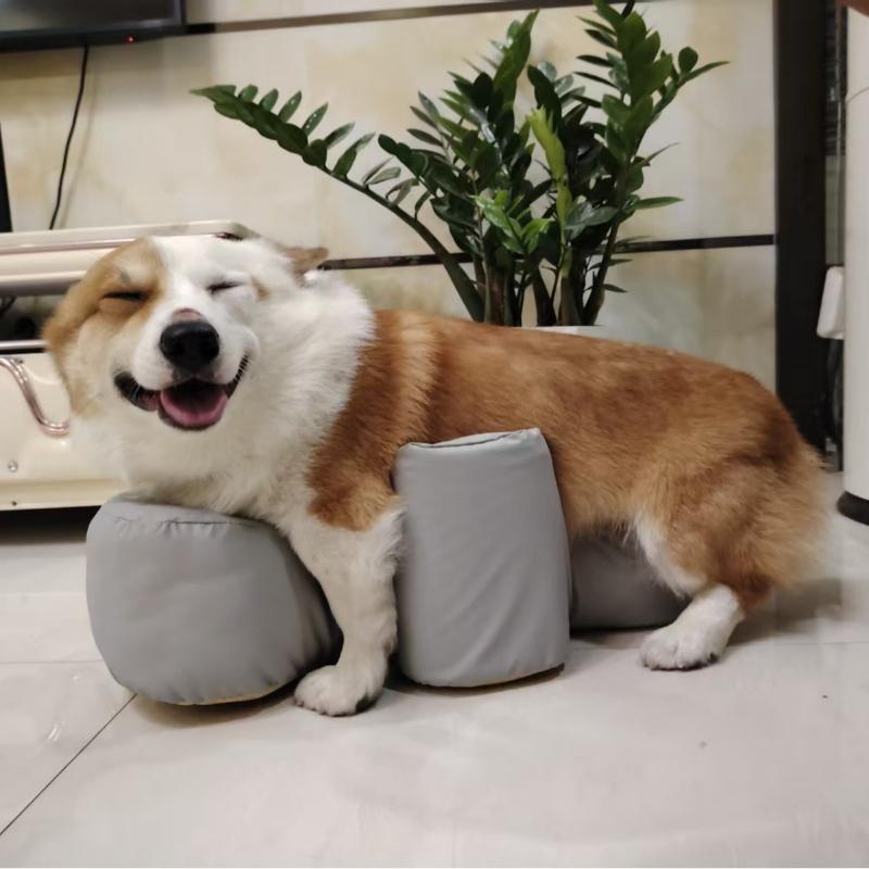 

Elderly Dog Bed Standing Assistance Prone Stool Anti Slip Joint Care Beds Stool Postoperative Rehabilitation Dogs Bed Paralyzed S серый