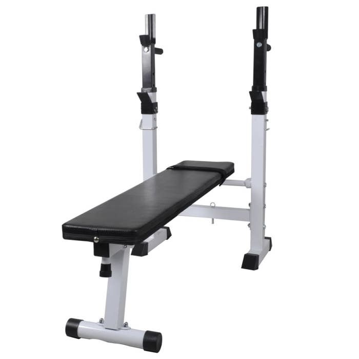 VidaXL Banc d'Entraînement et Support de Poids Jeu d'Haltères 60,5 kg Fitness 275361