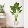 1pc New Waterproof Self-adhesive Green Plant Potted Wall Sticker Bedroom and Living Room Wall Decoration Stickers Accessories