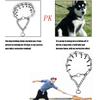Heavy Duty Pet Training Collar Ergonomic Slip Resistant Handle Walking Collar For Aggressive Puller Antipull Accessories