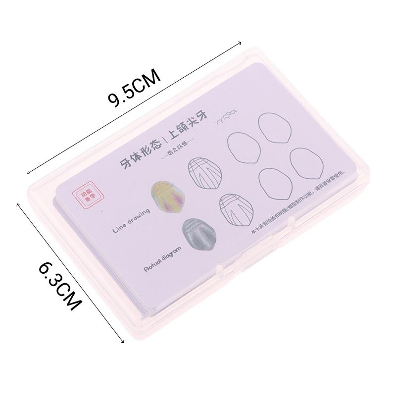 1box Dental Tooth Morphology Practice Card Resin Stacking Training Pad Dental Lab Teaching Tool Dental Students Auxiliary Tool