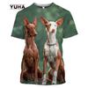Camisetas e regatas – Camisetas