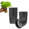 Plastic Hydroponics Mesh Net Pot for Garden and Nursery Planting Basket Type with Efficient Drainage and Root Aeration