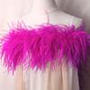 2 Meters Ostrich Feathers Boa Craft Accessories Plumas 6Ply Dress For Wedding Diy Feather Supplies Decoration The Table Crafts