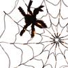 Spider Web Light Halloween Decorations Indoor USB Outdoor Lighted Led String for Event