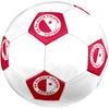 SK Slavia Praha Soccer Ball, Colorful, Suitable for All Ages, Machine-stitched, PVC Material, Competition Grade, Durable and High Bounce
