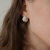 Dawn of Me Forte Shell Earring