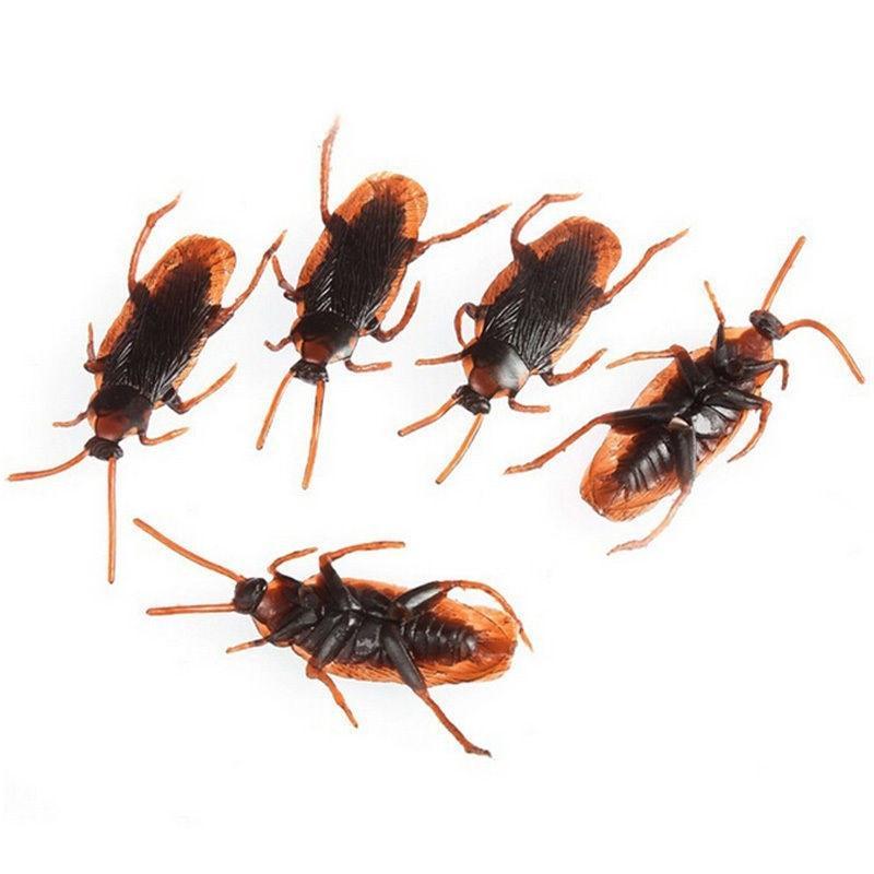 20Pcs Special Lifelike Model Simulation Fake Rubber Cockroach Bug Roaches Toy Novelty Trick Toys