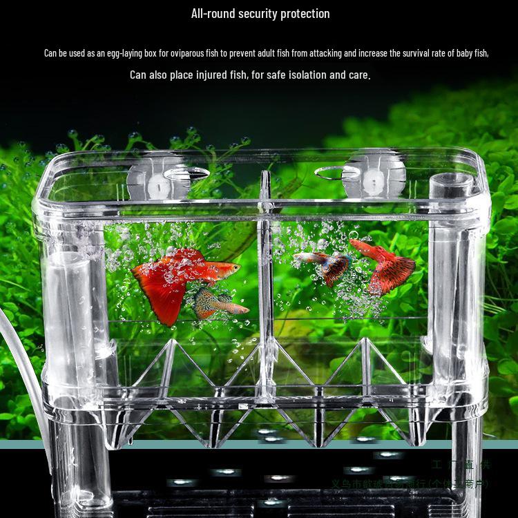 Akryl Flytande Akvarium Isolering & Yngelkasse för Guppy och Yngel