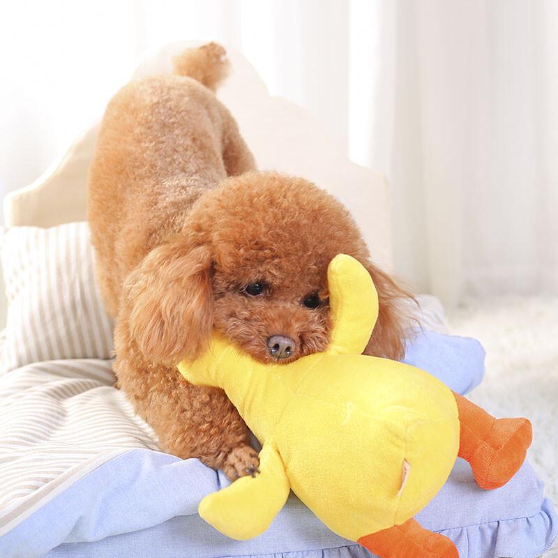 Hoopet Squeaky Duck Plush Dog Toy
