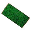 Preserved Moss Gardenning Art Wall Decor Moss Bulk Micro Landscape Decorative Props
