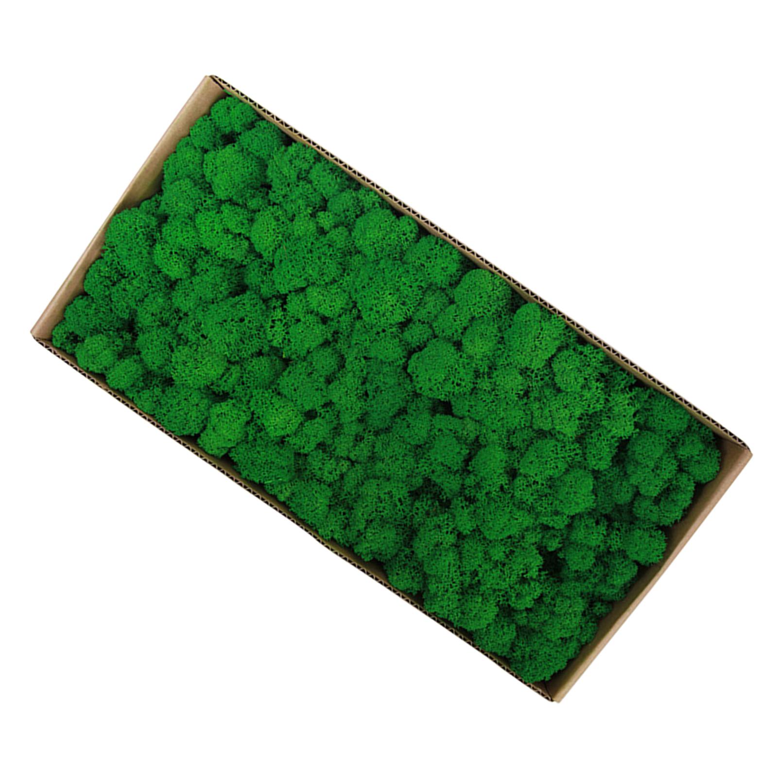 

Preserved Moss Gardenning Art Wall Decor Moss Bulk Micro Landscape Decorative Props Type 3