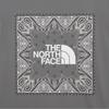 [norTh Face Official] NT7ur13d Men S Bandana ShorT Sleeve T ShirT Gray