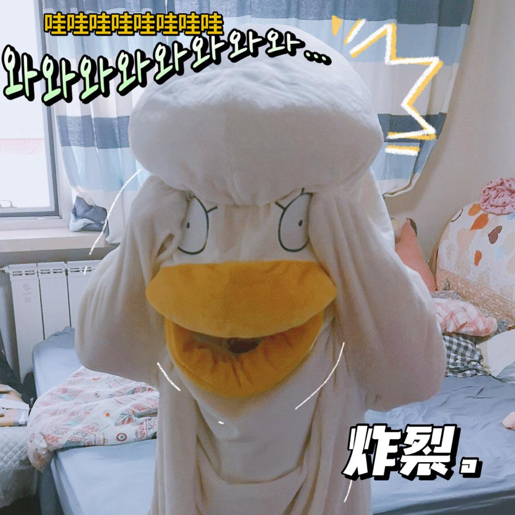 canvas and flannel sleeping bolsa