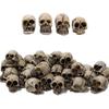 Figurki Mini Czaszek Główki Szkieletu Miniatury na Dekoracje Halloweenowe, Dekoracje Czaszki, Akcesoria do Domków dla Lalek na Dekoracje Halloweenowe, 40 szt.