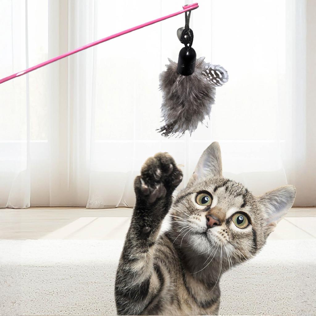 TTcat Wand Toys,Interactive Bird Simulation Toy Set,Fishing Pole,35'' Flexible Steel Wire Feather Refills,Teaser Toys for Indoor and .