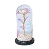 LED Lamp Glass Cover Rose Flower Micro Landscape Decorative Light Christmas Gift