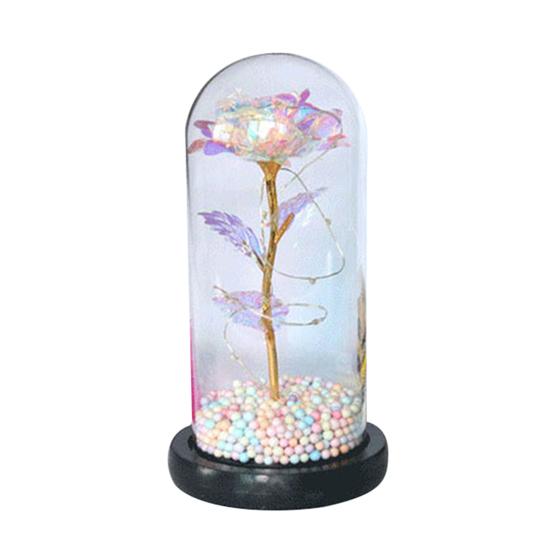 LED Lamp Glass Cover Rose Flower Micro Landscape Decorative Light Christmas Gift
