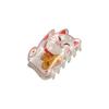 Attract Luck Cat Hair Claw Letter Animal Shark Clip Funny Acetate Hair Clip  Daily