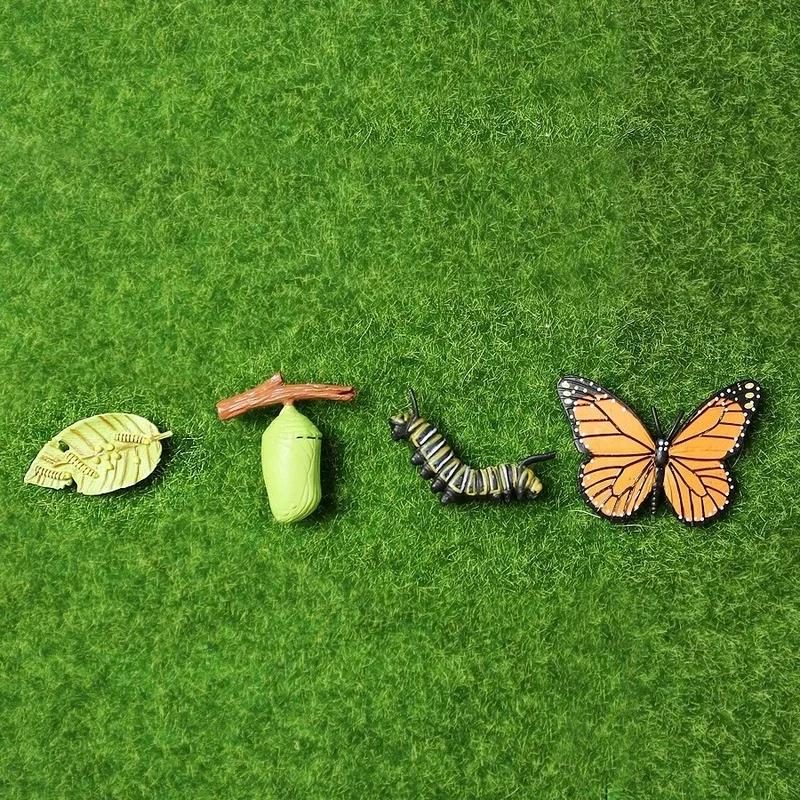 New Creative Childrens Cognitive Education Toy Simulation Animal Insect Model Mini Animal Butterfly Growth Cycle Ornaments