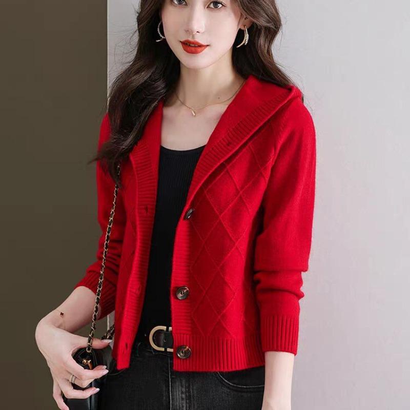 Hooded Knitted Cardigan Women's Autumn Clothing New Loose Casual Outer Sweater Hooded Small Coat