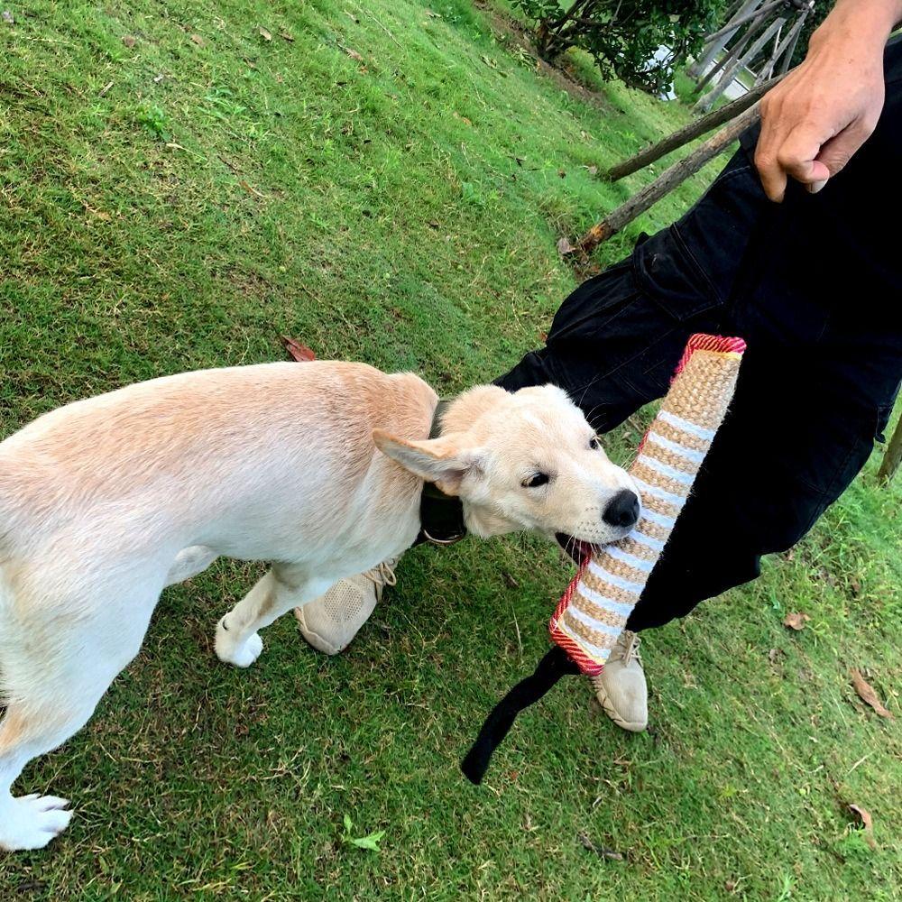 Puppy Chewing Toy Bite-resistant Dog Bite Pillow Rope Handles Interactive Dog Tug Toy Durable Pet Chew Sticks Dog Training