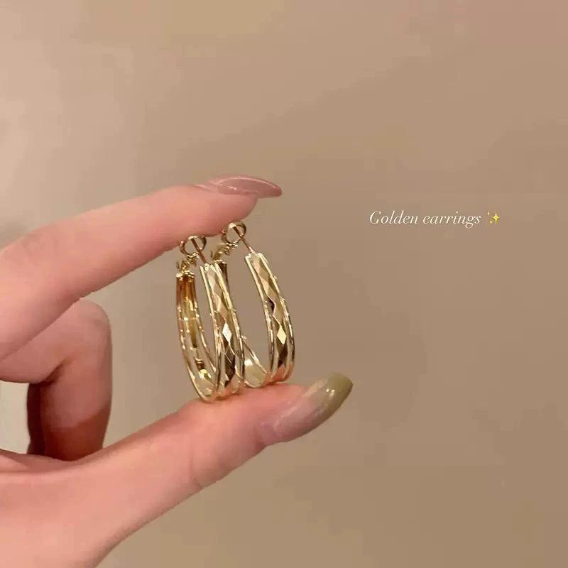 Brushed matte plain ring ear buckle female design earrings cold wind ear