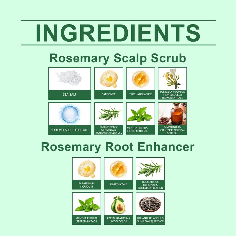 Rosemary Scalp Renewal Kit Clean Pores Fight Flakes and Hair Loss Moisturizing Conditioner Use for Dry Scalp